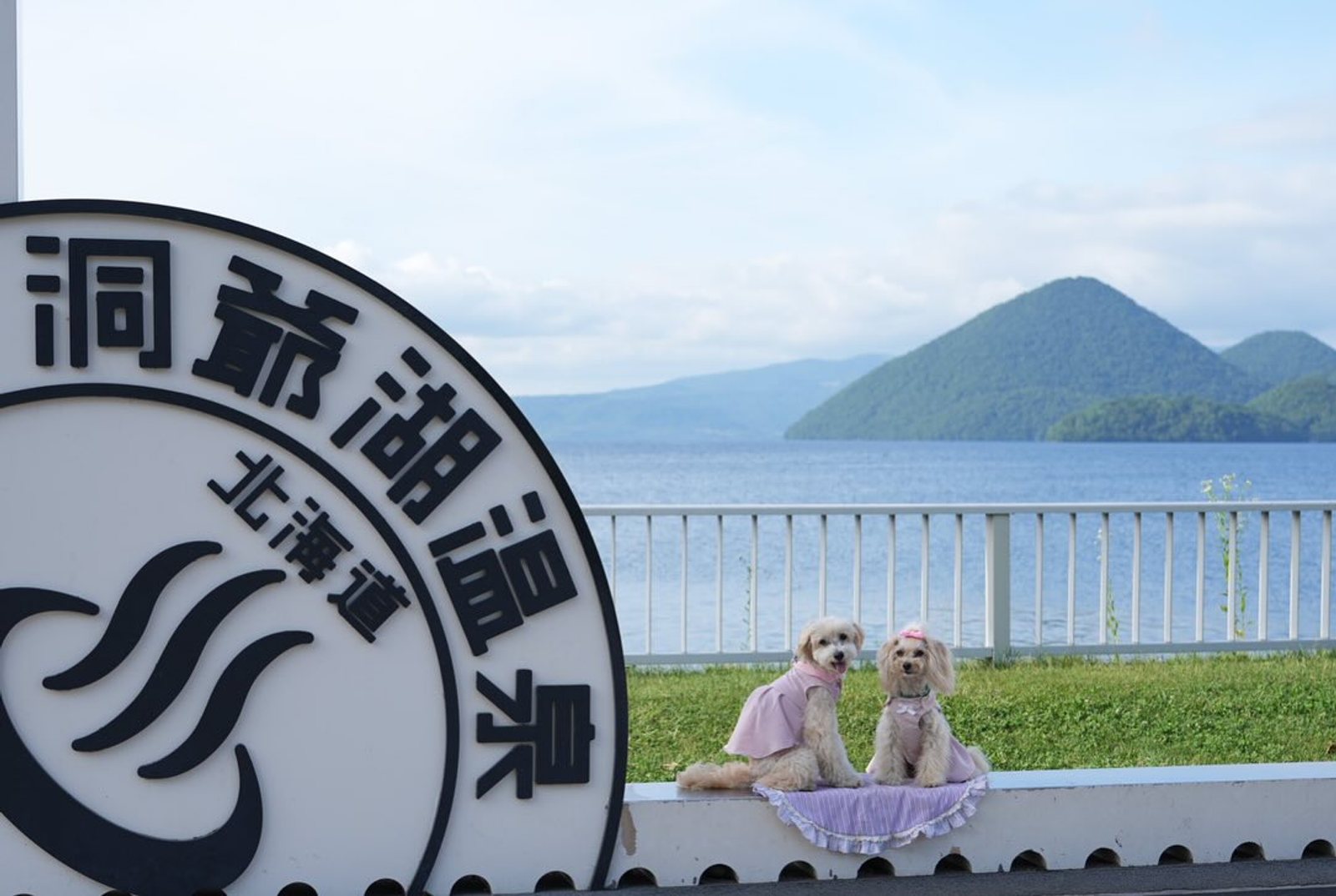 楽しかった富良野美瑛を後に🚗次の目的地洞爺湖