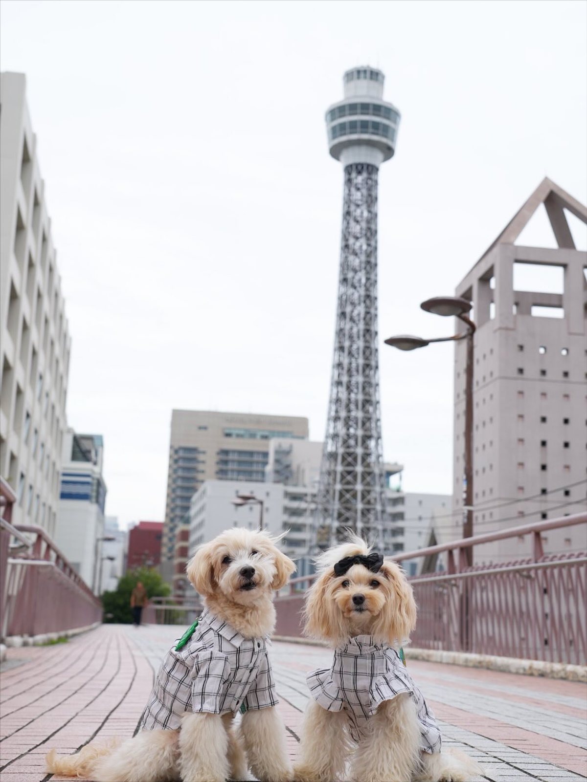 マリンタワーと… 〜 可愛い🗼フォトブース💙❤