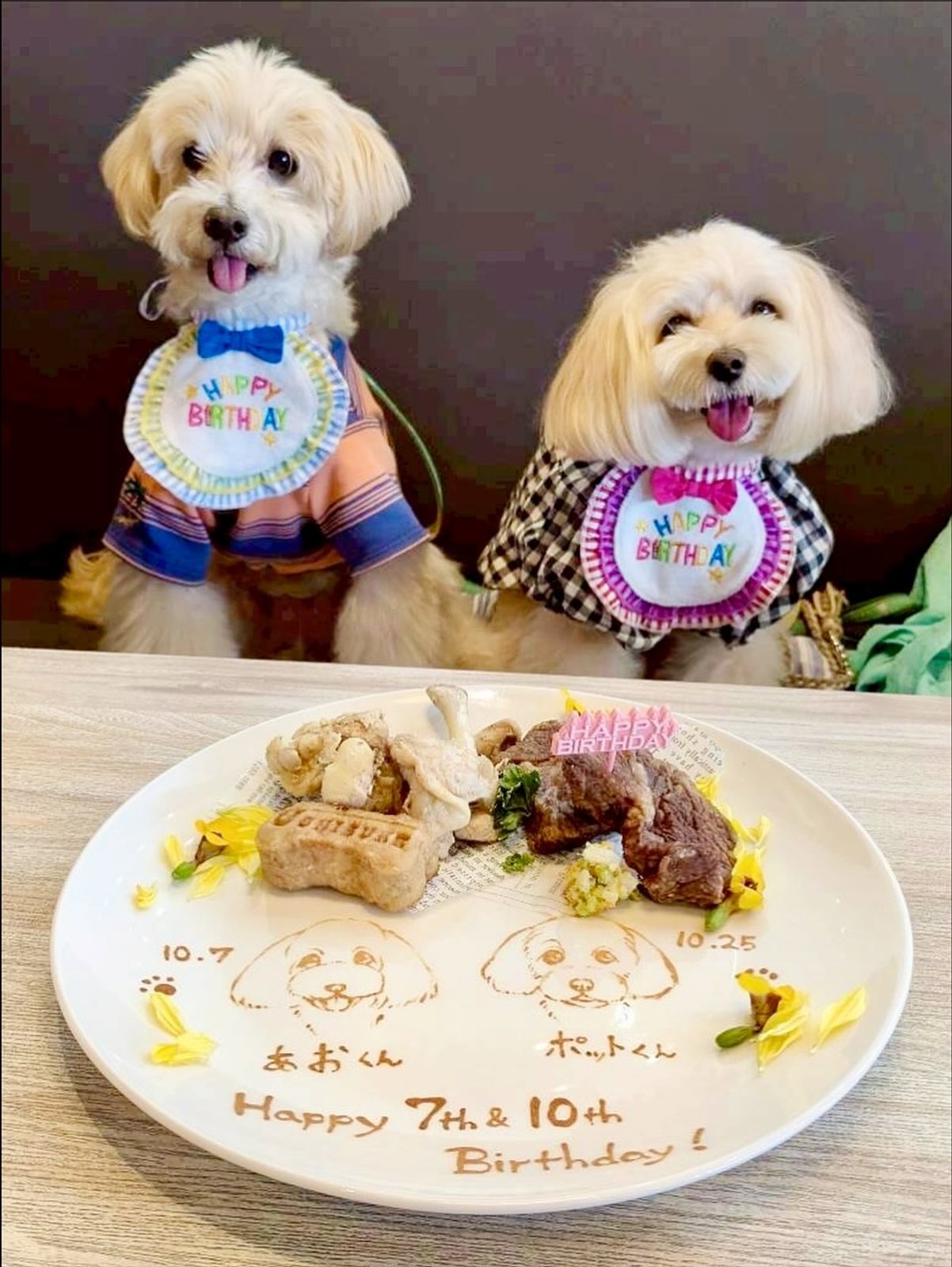 先日仲良しのお友達と一緒にお誕生日会🎉を…