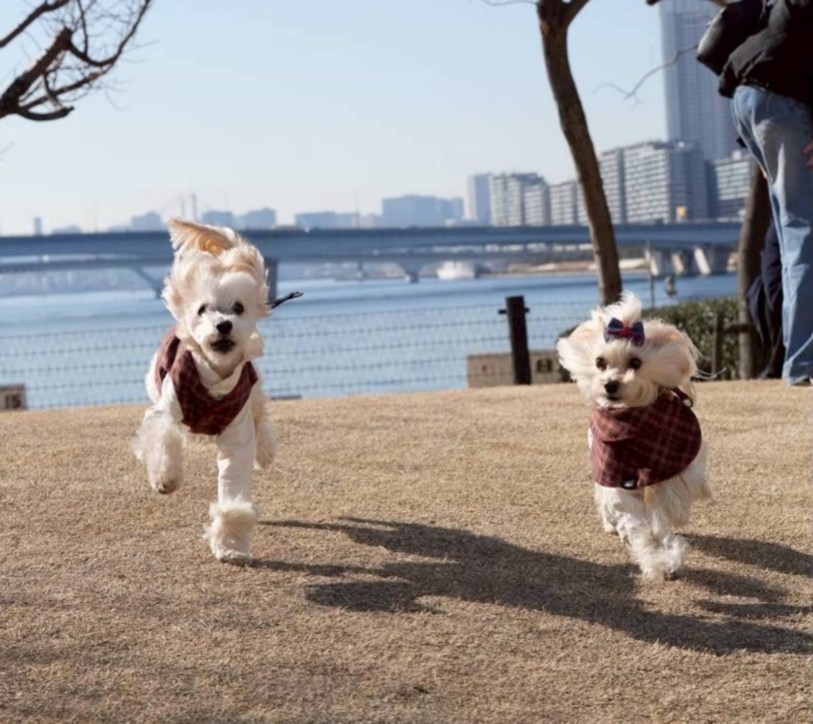 今年最後のうひょひょーなんだか凄いテンション
