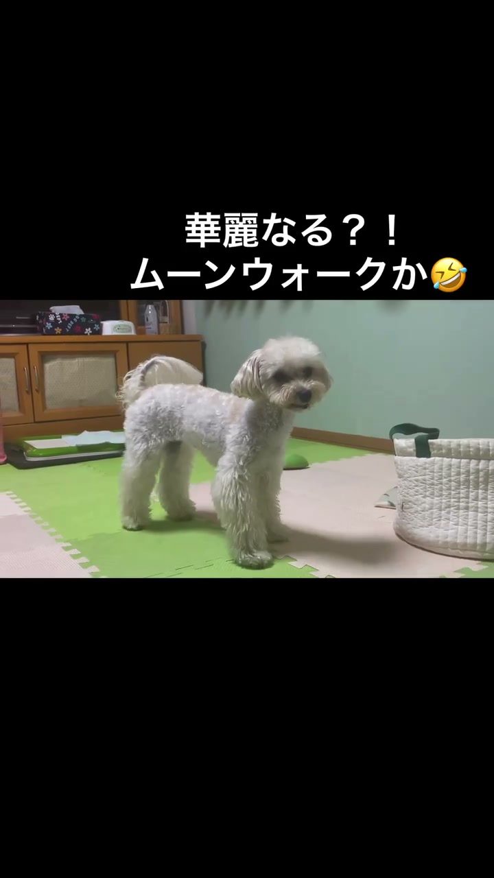 毎日暑い🥵ですね
