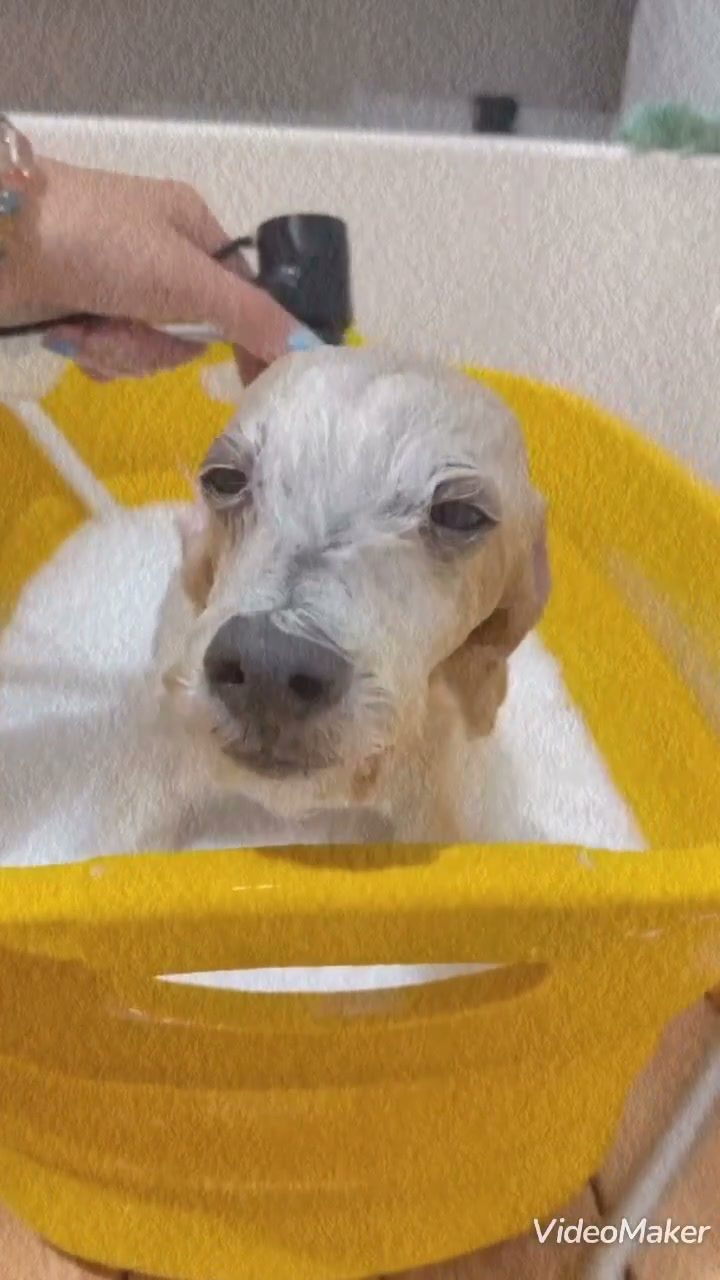 まだまだ暑い日が続いてますね