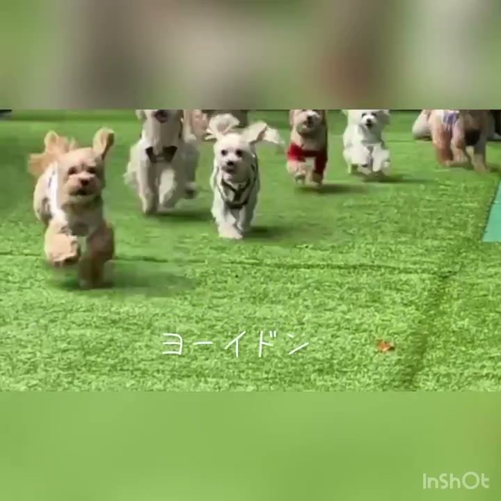 マルプー友達と朝活してきたよ♡
