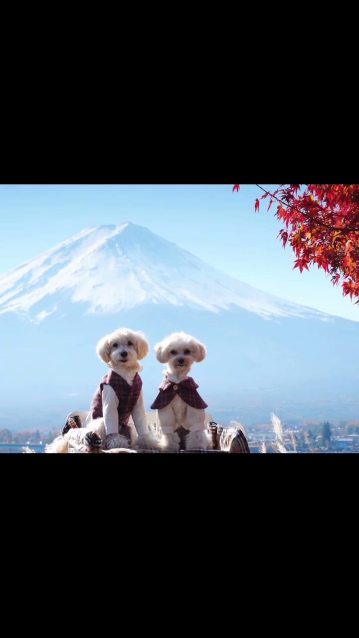 ポット＆レモン秋色探しin河口湖