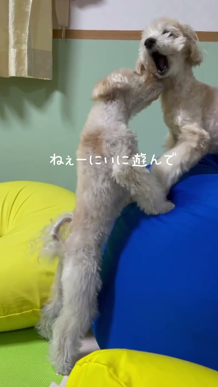 夕飯を終え静かに過ごしたい
