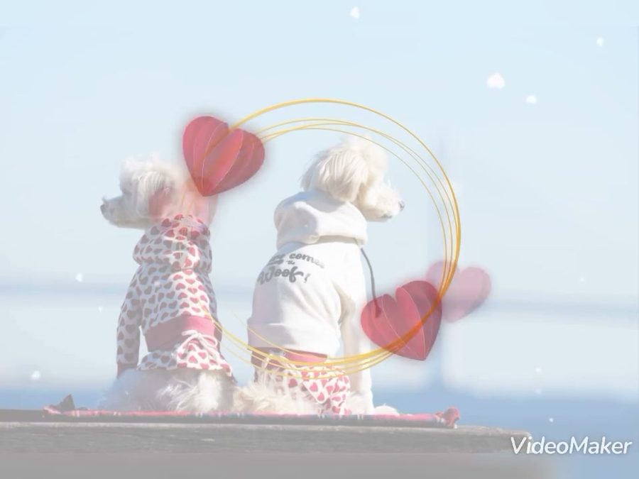 💕Happy Valentine’s Day wit…