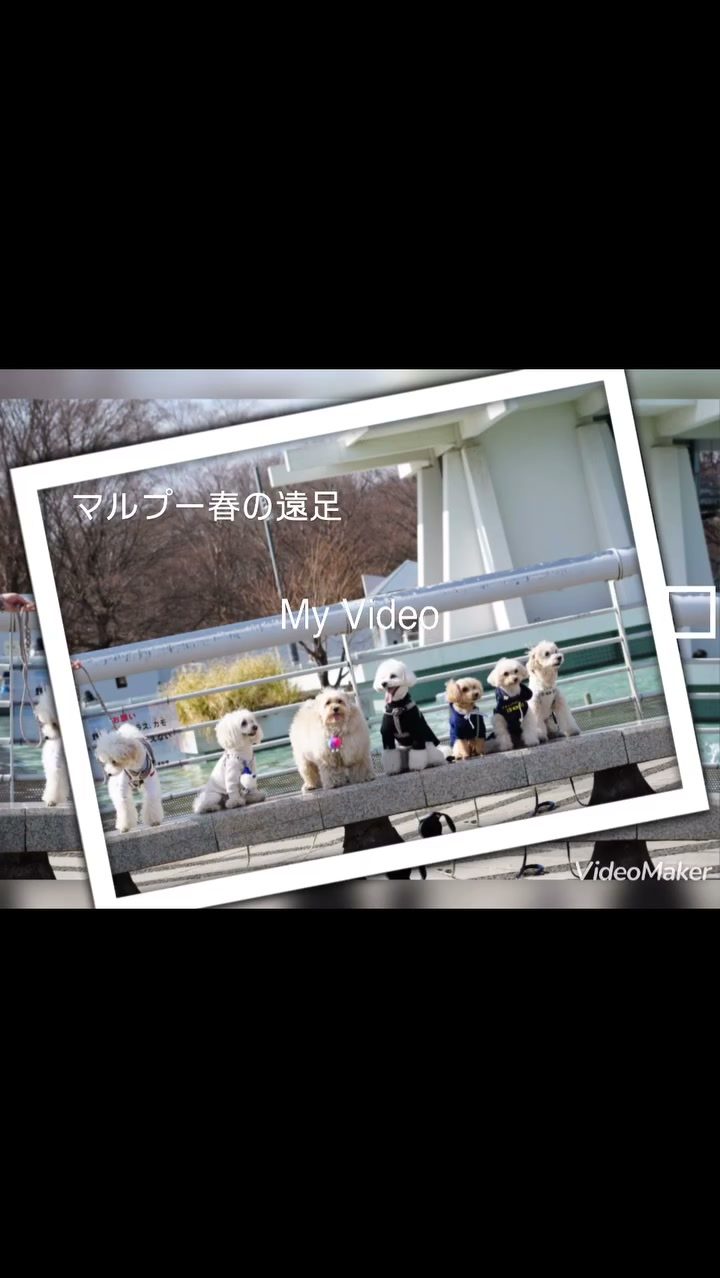 先日のいつメンで春の遠足したよ♡