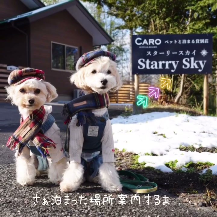 前postの続き『starry sky貸別荘』編