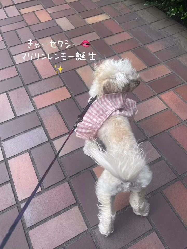 ✨マリリンレモー✨誕生🫦です♡🤣