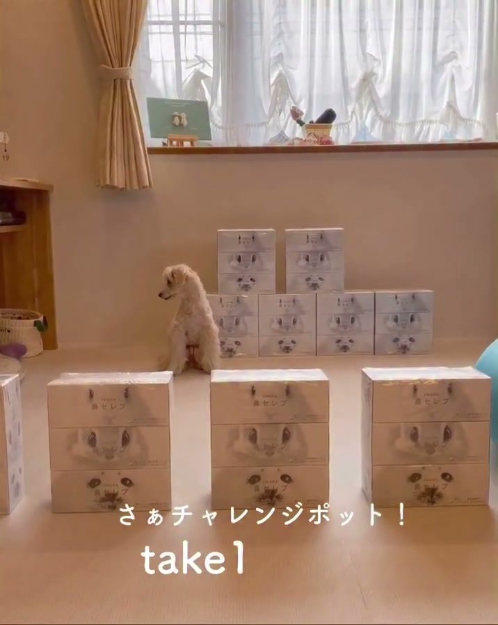 さぁ