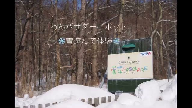 ☃️雪遊び❄️思い出記録…