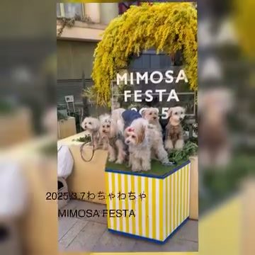 わちゃわちゃ楽しいかった💛久しぶりにいつメンと今回参…