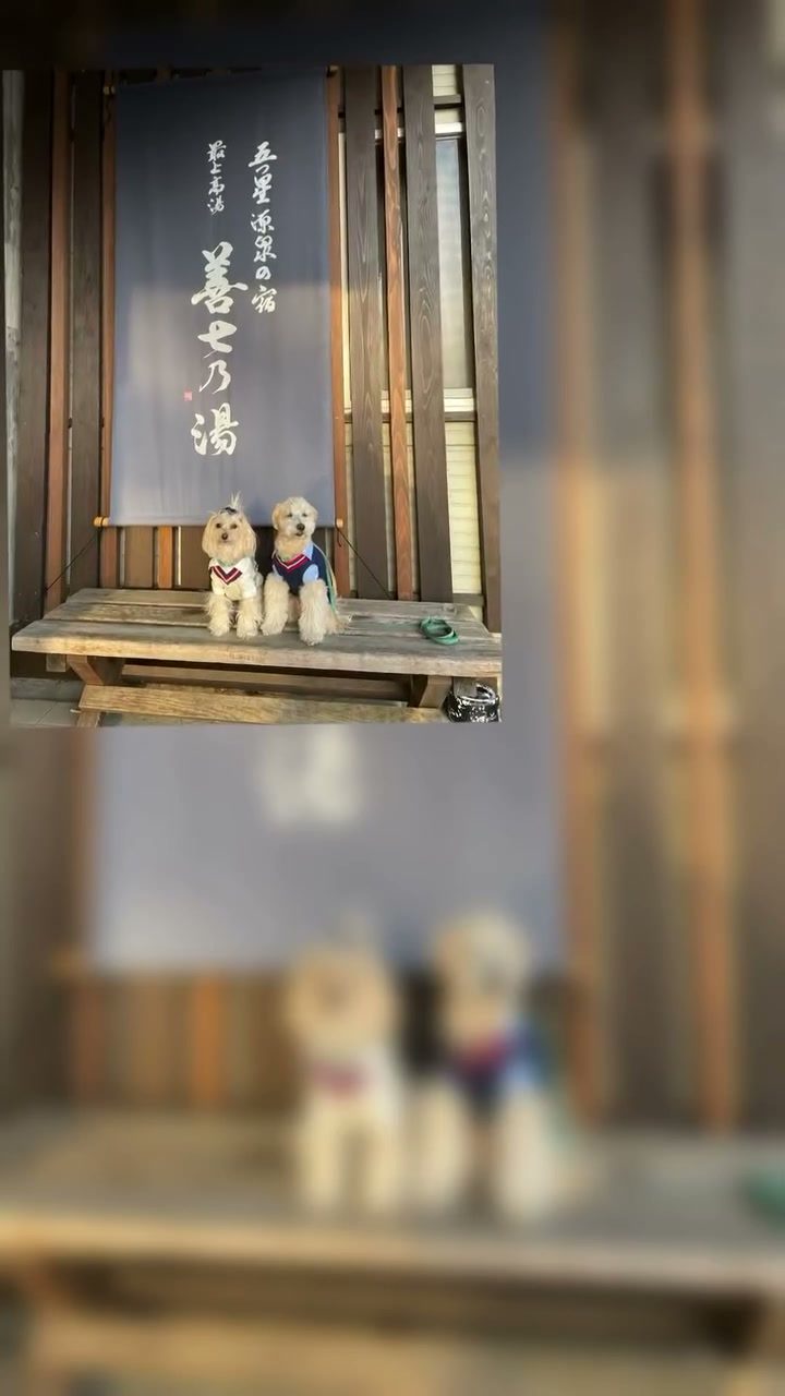 山形蔵王お宿編…山形蔵王に泊まる際は毎回ここ