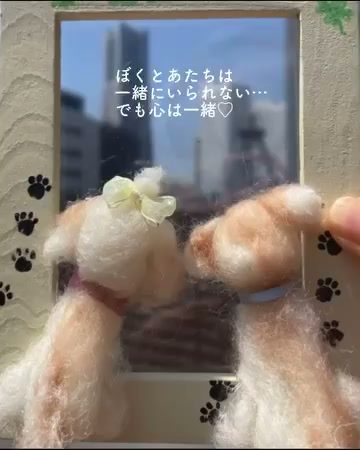 先日長女が無事に結婚式を挙げました