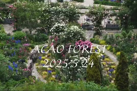 ACAO FOREST総集編〜仲良しfamilyのチェ…