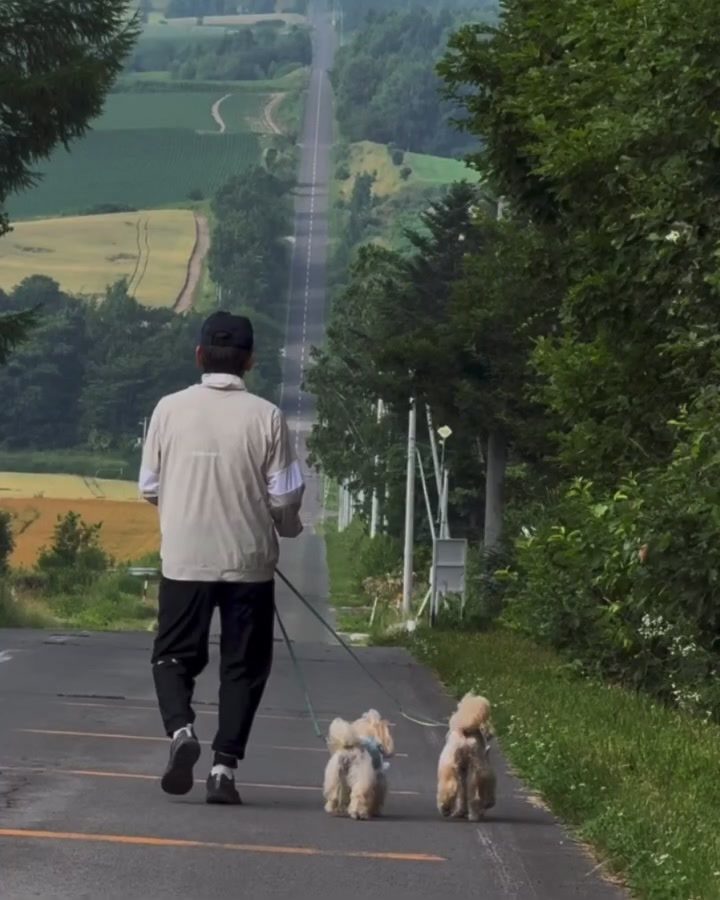 ジェットコースターの路へ折り重なる丘のうねりに沿って真…