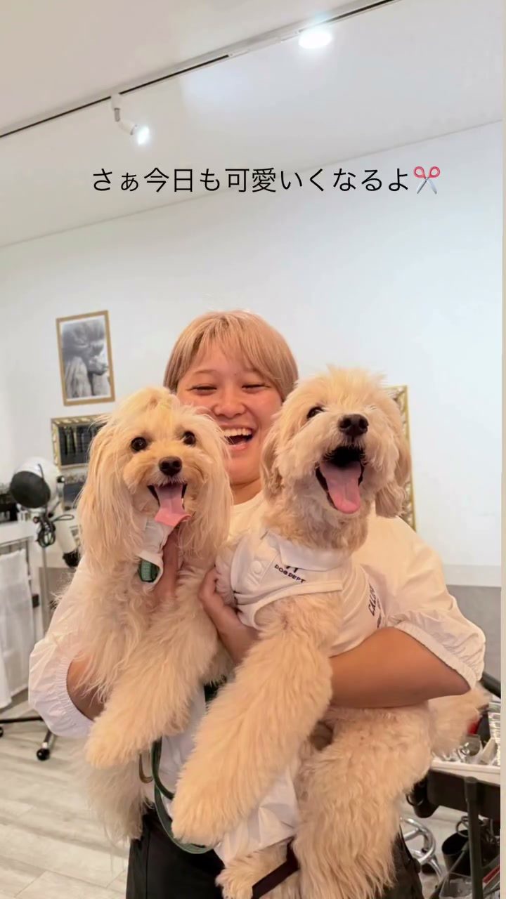 8月2日はトリミングday✂️でした