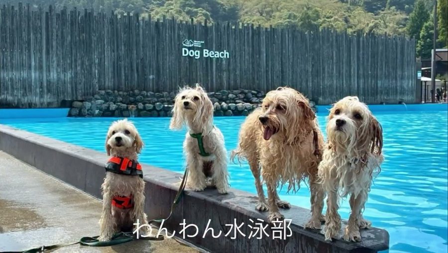 コロマチfamilyと8月最終日
