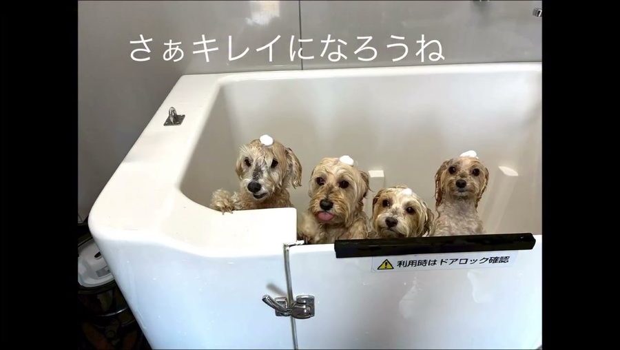 さぁうプールの後にひょひょー陸上部で汗だくに…