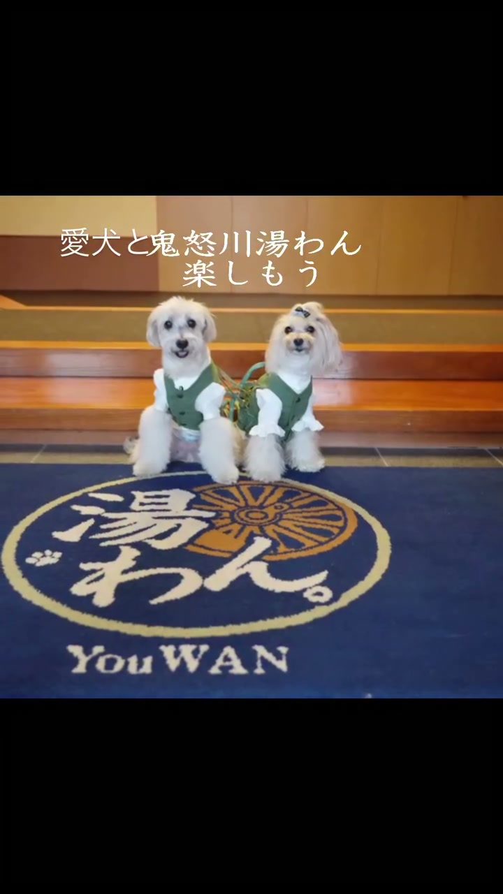 愛犬と一緒に温泉と美味しい食事そして四季を感じるお庭で…