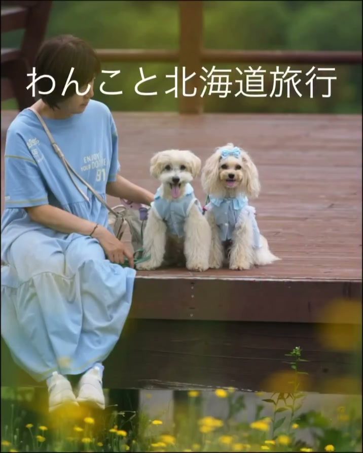 今更だけど…愛おしい存在のポット＆レモンとの旅行記録