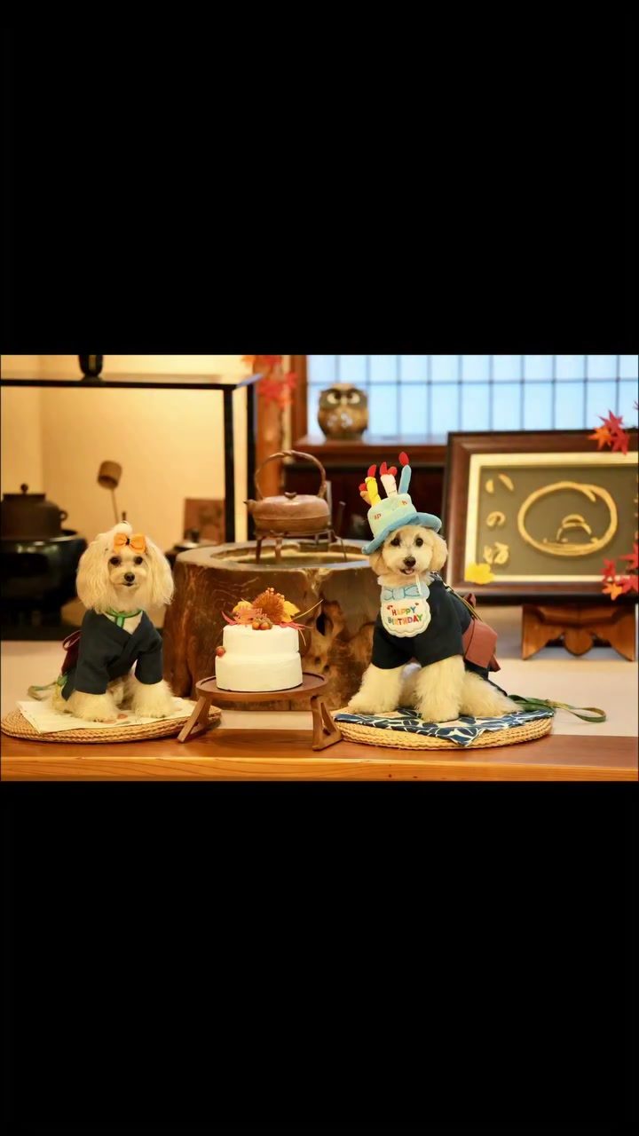 ポット誕生日旅行part5お宿編