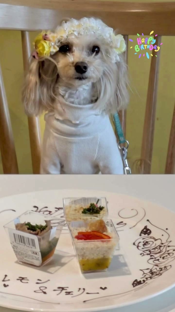 仲良しのチェリーちゃんとレモンの合同お誕生日会をしたよ…