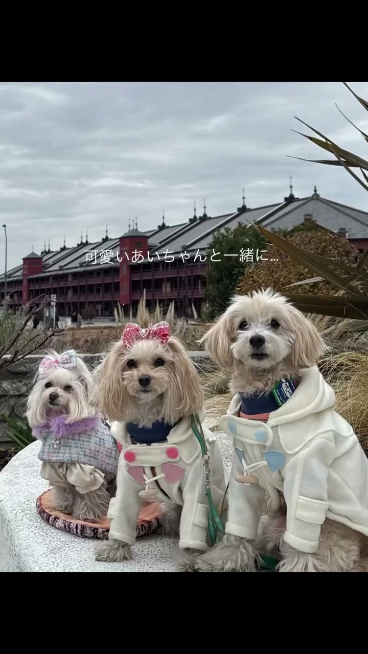 先日やっと会えたー🙌あいちゃんとママさん♡