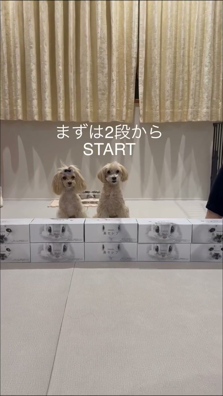毎年恒例のchallengeテッシュJUMP