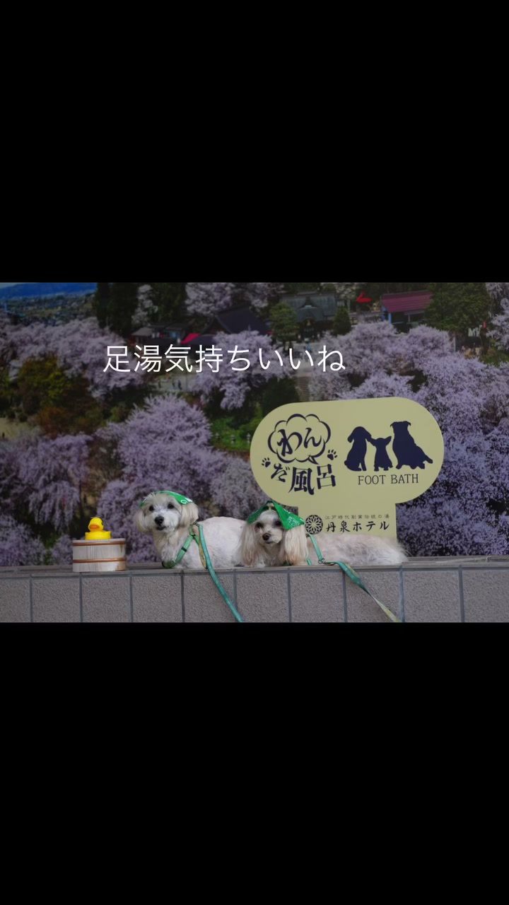 先日山形へ…義母の一周忌でした