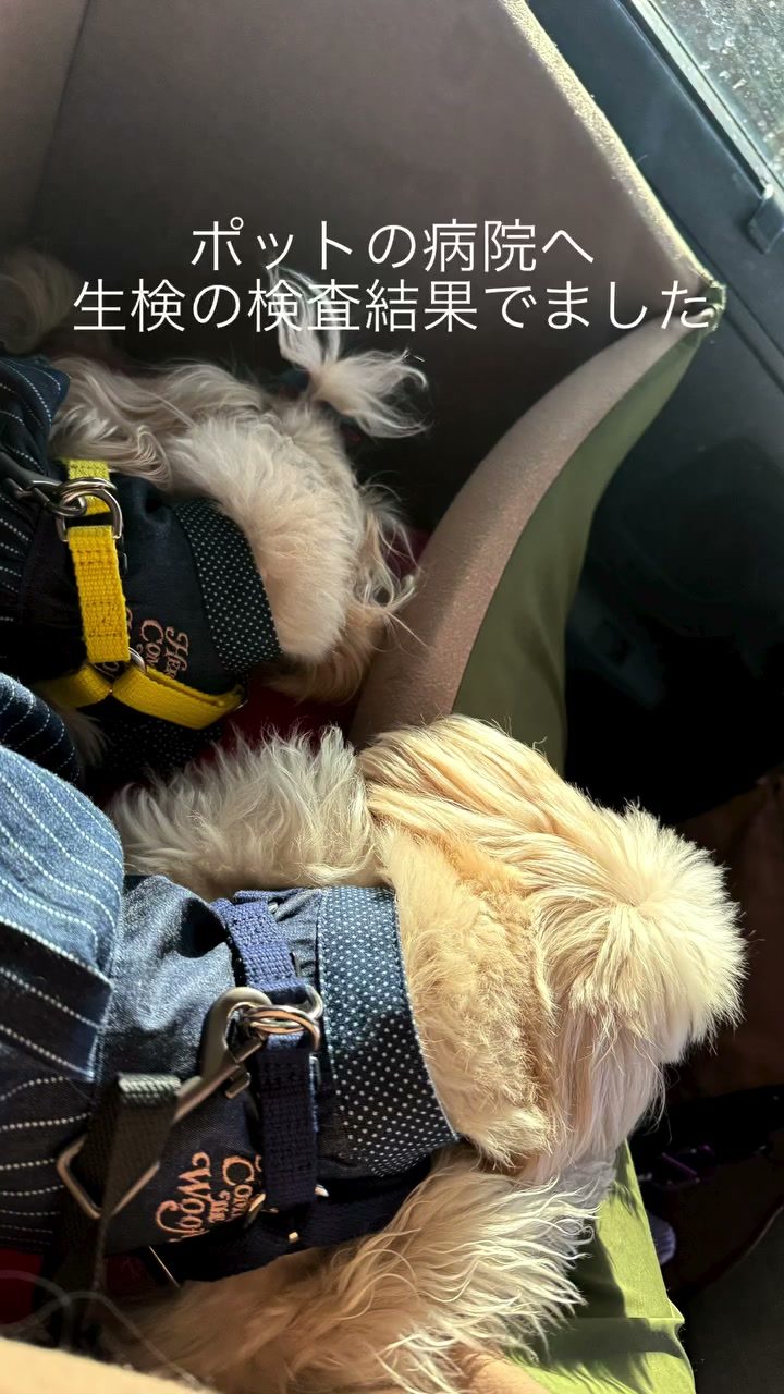 ご報告させて頂きます